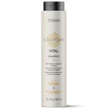 Šampoon Lakme Teknia Scalp Care Vital, 300 ml