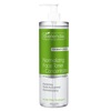 Näotoonik Bielenda Professional Acne Free Pro Expert, 500 ml