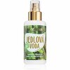 Näotoonik Purity Vision Bio Fir Water, 100 ml