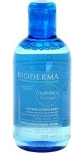 Niisutav näotoonik Bioderma Hydrabio, 250 ml