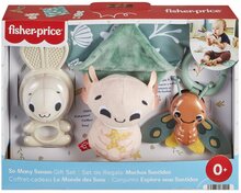Mänguasjade komplekt imikutele Fisher Price Pajuskime nii palju tundeid, 4 tk