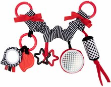 Riputatav mänguasi Canpol Babies Sensory, punane