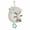 Muusikaline mänguasi Bigbuy Fun Baby Panda, sinine, 25 cm