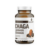 Ecosh Chaga musta küüslauguga, 90 kapslit