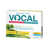 Vocal sidrunimaitselised pastillid N24