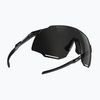 Päikeseprillid DYNAFIT Alpine black out/nimbus