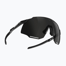 Päikeseprillid DYNAFIT Alpine black out/nimbus