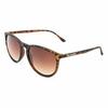 Päikeseprillid LondonBe LB7992851111, 52 mm, pruun Havana