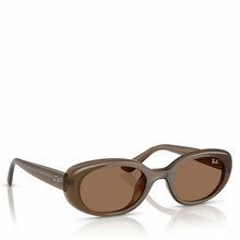 Päikeseprillid Ray-Ban 0RB4441D 53 677973, pruun