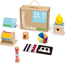 Arendav mänguasi Tooky Toy Box XXL Montessori 6in1, 0-6 kuud