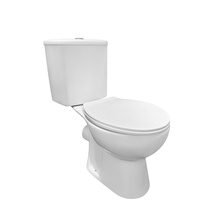 Põrandale paigaldatav tualettpott Domoletti koos kaanega, 380 x 680 mm