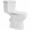 Wc-pott T321 Rimless, valge