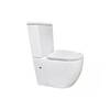 Põrandapealne tualettpott Domoletti TK321 koos kaanega, 365 x 410 mm, 430 x 460 mm