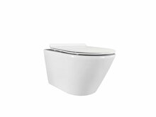 Seinapealne WC-pott Domoletti, kaanega, 360 x 500 mm