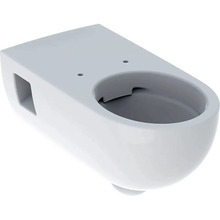 Riputatav WC-pott Geberit Selnova Comfort 500.693.01.2, valge, 355 x 700 mm