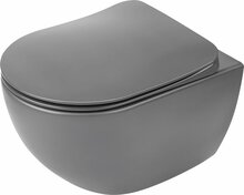 Seinapealne WC-pott Deante Peonia Rimless, kaanega, 360 x 510 mm, antratsiit