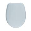 Klozeti kaas Saniplast Sebino 2FSE005902, 38 x 49 cm