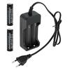 Laadija Getech plius 2 tk 18650 akud