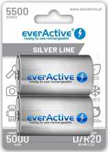 Laetavad patareid Everactive R20/D Ni-MH 5500 mAh, 2 tk