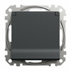 Pistikupesa Schneider Sedna Design SDD214024, antratsiit, IP44
