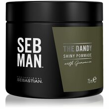 Juuksepumat Sebastian Professional SEB MAN The Dandy, 75 ml