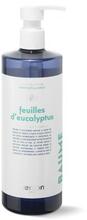 Lõhnastatud käte- ja kehapesugeel Kerzon Liquid Soap Feuilles dEucalyptus, 500 ml
