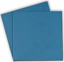Termopadi Thermal Grizzly Minus Pad Basic, 100 x 100 x 0,5 mm, 2 tk