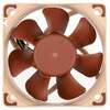 Ventilaator Noctua NF-A6x25-PWM, 60 mm, pruun/beez
