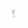 LED pirn Elica Golden Sphere XXL