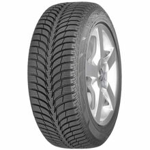 Talverehv Sava Eskimo Ice 175/70 R14 88 T XL