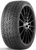 Talverehv Doublestar DW08 205/55 R16 91 T
