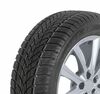 Talverehv Dunlop SP Winter Sport 4D 205/55 R16 91 H