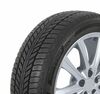 Talverehv Hankook iON i*cept IW01 215/50 R19 93 H 4PR EV SBL