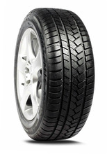 Talverehv Malatesta T M79T 225/45 R17 94 V