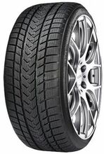 Talverehv Gripmax Suregrip Pro Winter 255/30 R20 92 V XL