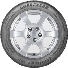 Suverehv Goodyear EfficientGrip Performance 205/55 R16 91 V