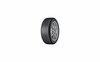 Suverehv Goodyear EfficientGrip Performance 2 215/60 R17 100 H XL OE1