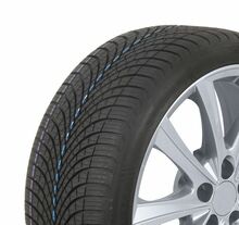 Universaalrehv Dunlop All Season 2 215/55 R16 97 V XL