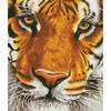 Teemantmosaiik Diamond Dotz Bengal Magic, 42x36 cm