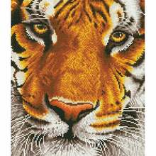 Teemantmosaiik Diamond Dotz Bengal Magic, 42x36 cm
