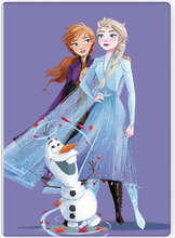 Pleed Disney Frozen, 100 x 140 cm