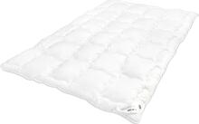 Tekk DecoKing Inez, 220 x 240 cm, valge