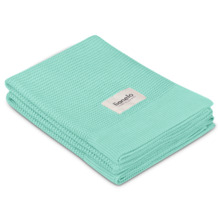 Beebitekk Lionelo Bamboo LO-BAMBOO BLANKET, 100 x 75 cm, mint
