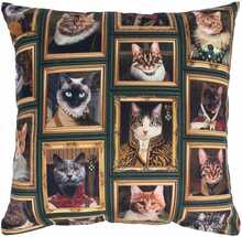Dekoratiivpadi Home4you Holly, 45 x 45 cm, kassid raamis