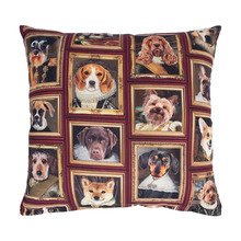 Dekoratiivpadi Home4you Holly, 45 x 45 cm, koerad raamis