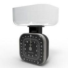 Salter 124 BKSVDR