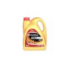 Mootoriõli Orlen Platinum Max Expert XD 5W-30, 4 L