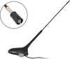 Autoantenn võimendiga Blow Peugeot Citroen