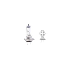 Pirn H7 24V 70W