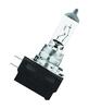 Autolamp Osram H8, 12 V, 35 W, 1 tk